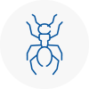 Ant Removals In South Woodford