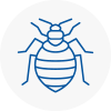 Bed Bug Extermination In South Woodford