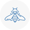 Bee Nest Removal South Woodford