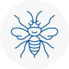 South Woodford Hornet Nest Removals