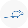 Mice Exterminators In South Woodford