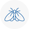 Moth Control Specialists In South Woodford