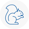 South Woodford Rodent Removals