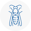 South Woodford Wasp Nest Removal